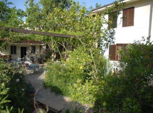 Misafir Evi Hotel Kayakoy Buitenkant foto